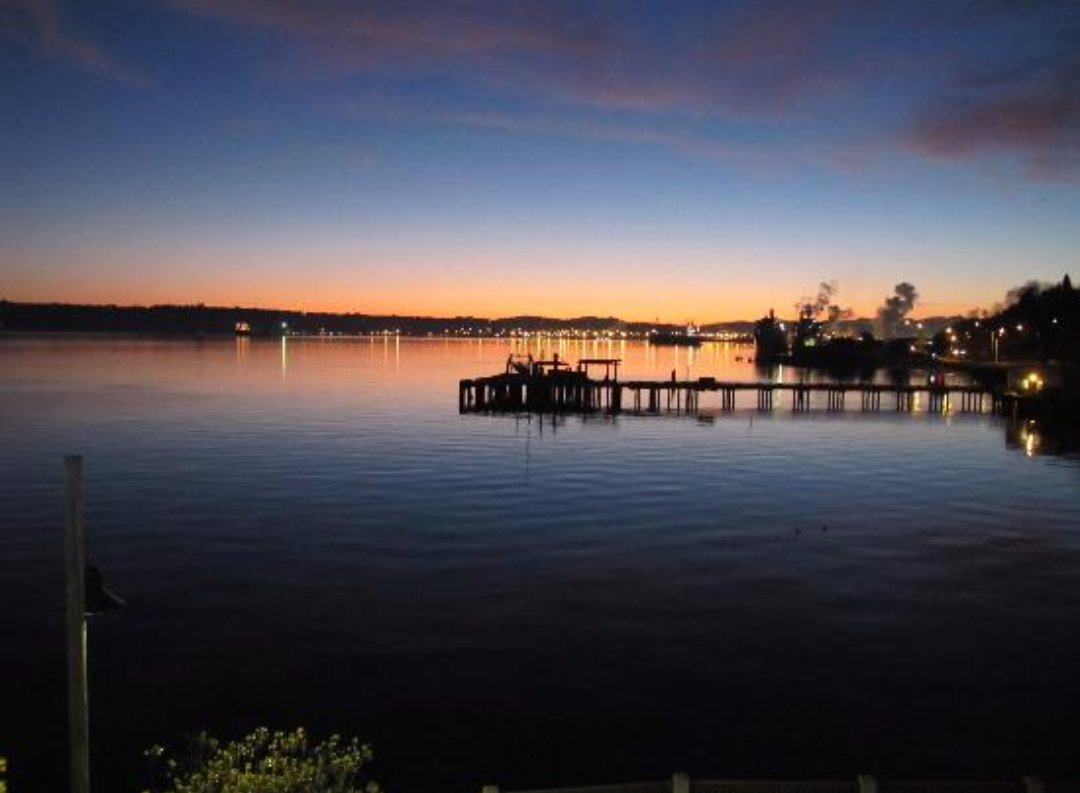 MarriedIntimate's tweet image. Dear husband,
For valentines day, take me back to that hotel with the ocean view from the jet bathtub.
 💚 🌹 🛁 🌹 💚