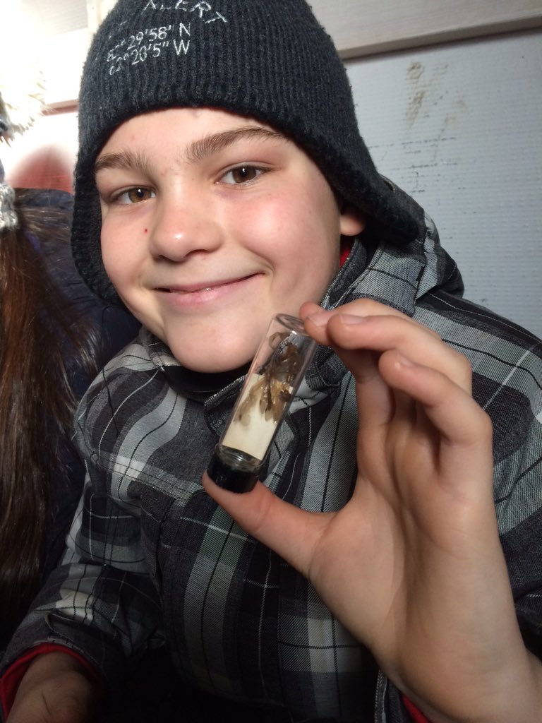 Upland_Hunter's tweet photo. Les macroinvertébrés sont actifs dans le lac. @Cefsk #ClassroomsonIce #BuffaloPound Les bases de la vie aquatique https://t.co/AihmBlwf9m