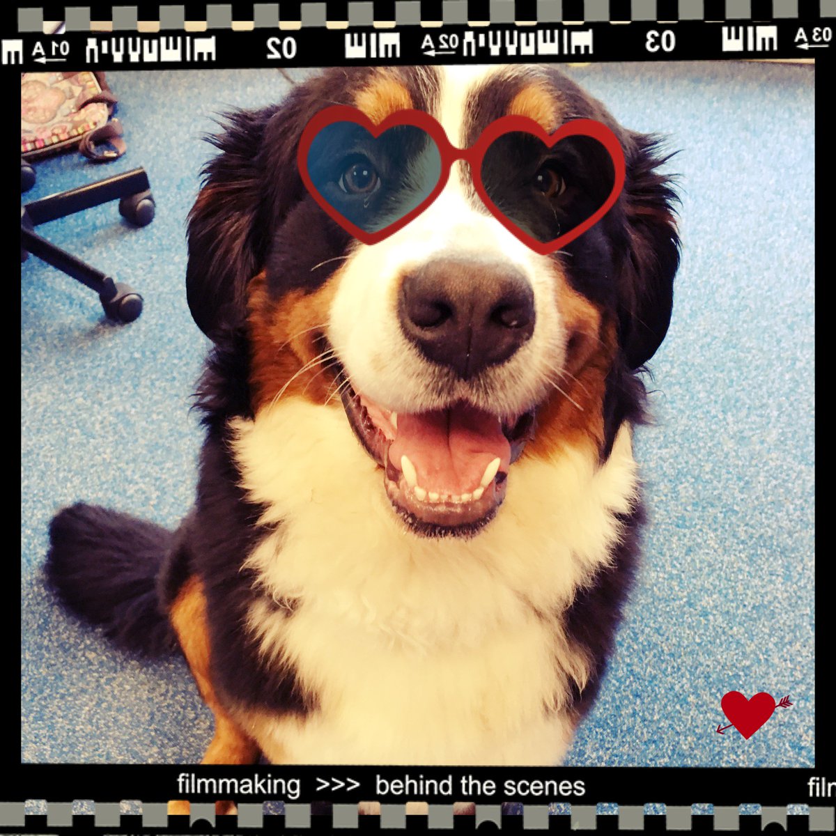 On vous présente notre 1ere recrue : Love dit Lovette ! A vous de deviner quel est son métier !