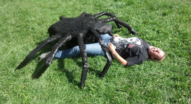 DesignMYPDesign's tweet image. With the help of the design cycle, you won&apos;t mutate a giant spider that will attack you. @lianahamptonn