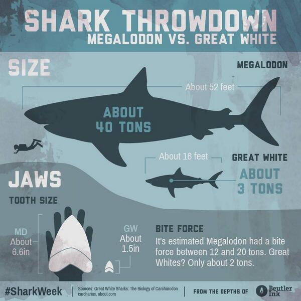 megalodon vs great white shark fight