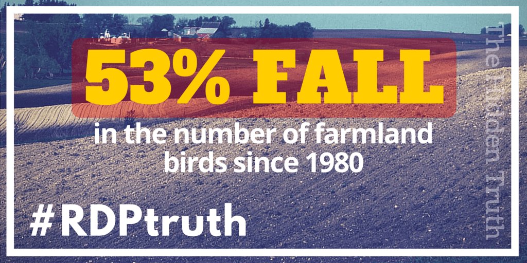 BirdLifeEurope's tweet photo. Thank you all for #RDPtruth tweets/comments etc. today - there's more info available here: https://t.co/vj805Dt1NP https://t.co/t8k8y9C7eH
