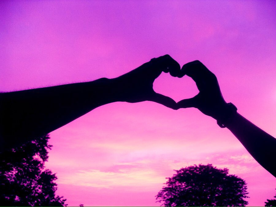 пурпурные сердца фильм 2022 николас. фиолетовые пары. оригинальные сиреневые пары. пурпурная пара.