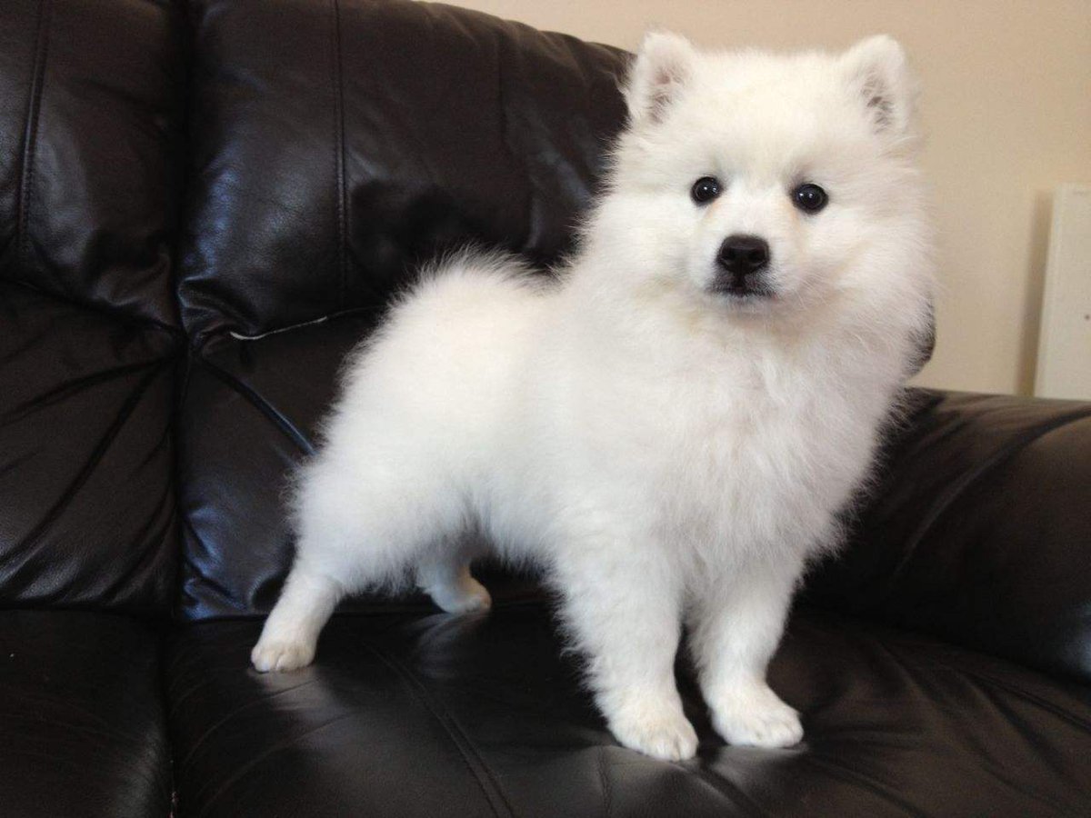 Mary Twitterren Aujourdhui Jai Découvert Une Nouvelle