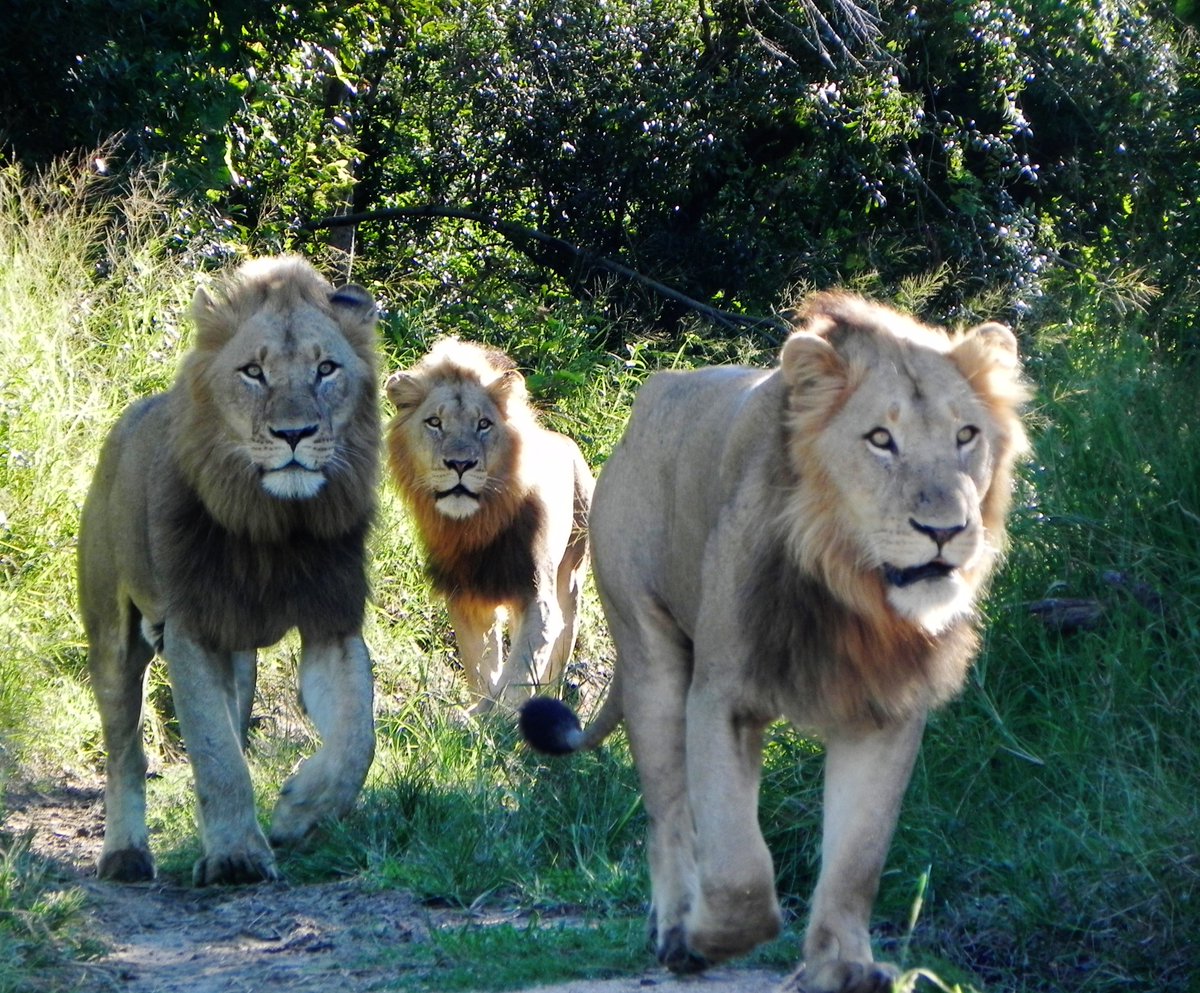 GoldbergBetsy's tweet image. New Virtuoso list: The 18 Most Popular #SpringDestinations to Explore bit.ly/1nYdywt #virtuosotravel