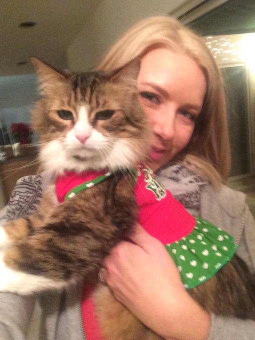 I just realized my cat Mustang is 75 in cat years &amp; my cat Gaius is 31 in cat years! 🤔😻 My kittos grow<a href="/tag/bucketlist"class="tags"><span>#bucketlist</span></a>