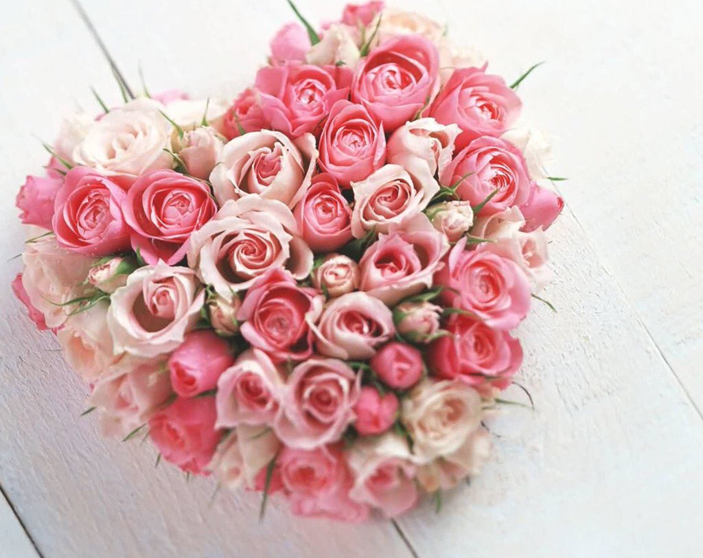 Chandra1Vinid's tweet image. @cathhewat123 @elbadry_malek @EehHorn @mr_makoko @KingSparkzz @shelleymcwellie @BSuhic