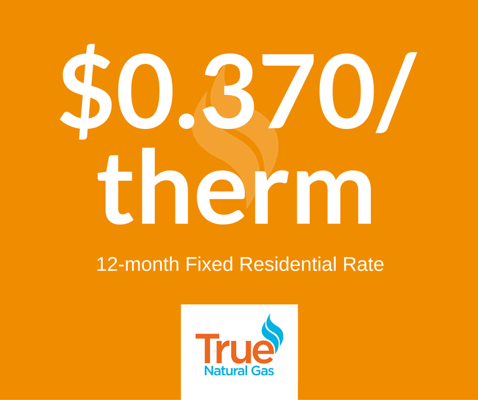 TrueNaturalGas's tweet image. Switch to #TNG for one of the lowest 12-mo fixed residential rate in GA: $0.370! Click: bit.ly/1eGEtaY.