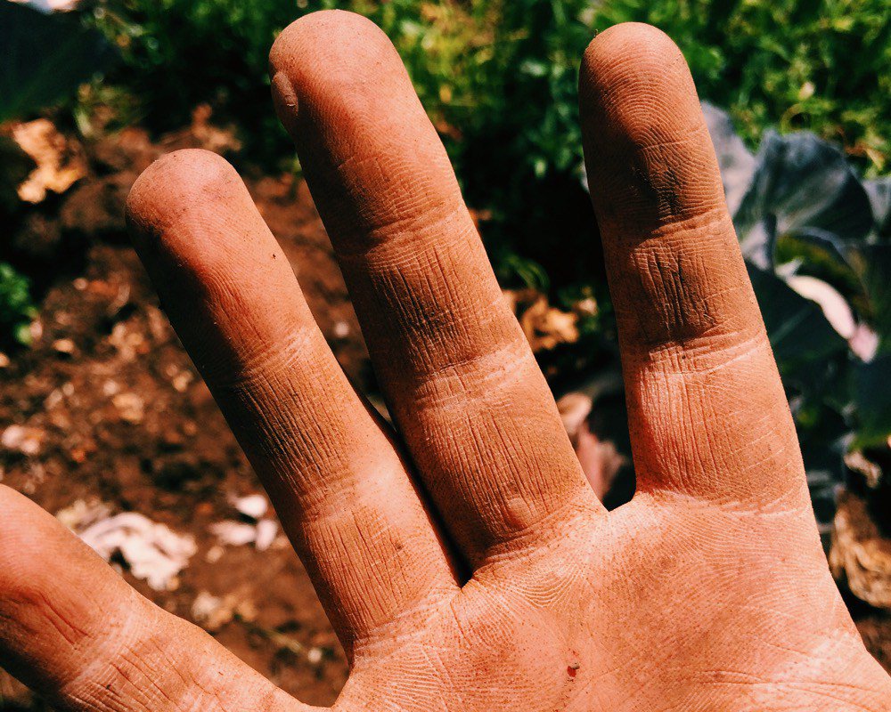 NomadicEng's tweet photo. Week 24: half a haircut, farming and being around https://t.co/60PO0N8cM2 https://t.co/2TquTkvUHx