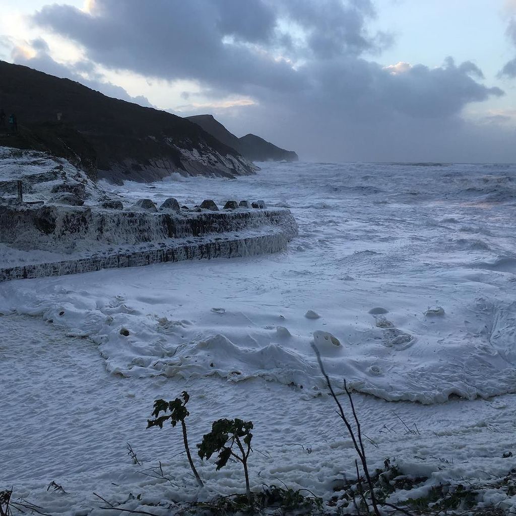 Jen Dixon tweet media