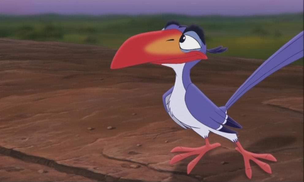 CanisiusABEC's tweet photo. Did you know Zazu from the Lion King is actually based off of a mixture of hornbill species, not just one? https://t.co/XJOnnCYqXS