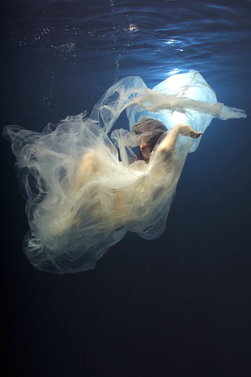 fubiz's tweet photo. Majestic Underwater Portraits by Phoebe Rudomino &amp; Jvdas Berra https://t.co/vCqqUwyolz https://t.co/woKRo8zKuQ
