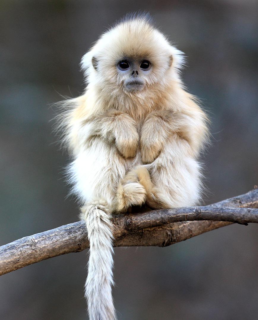 ceoworld's tweet image. Life is 10% what happens to you and 90% how you respond to it. — Lou Holtz

 #MyPrimaryConcern making a million 💰💰