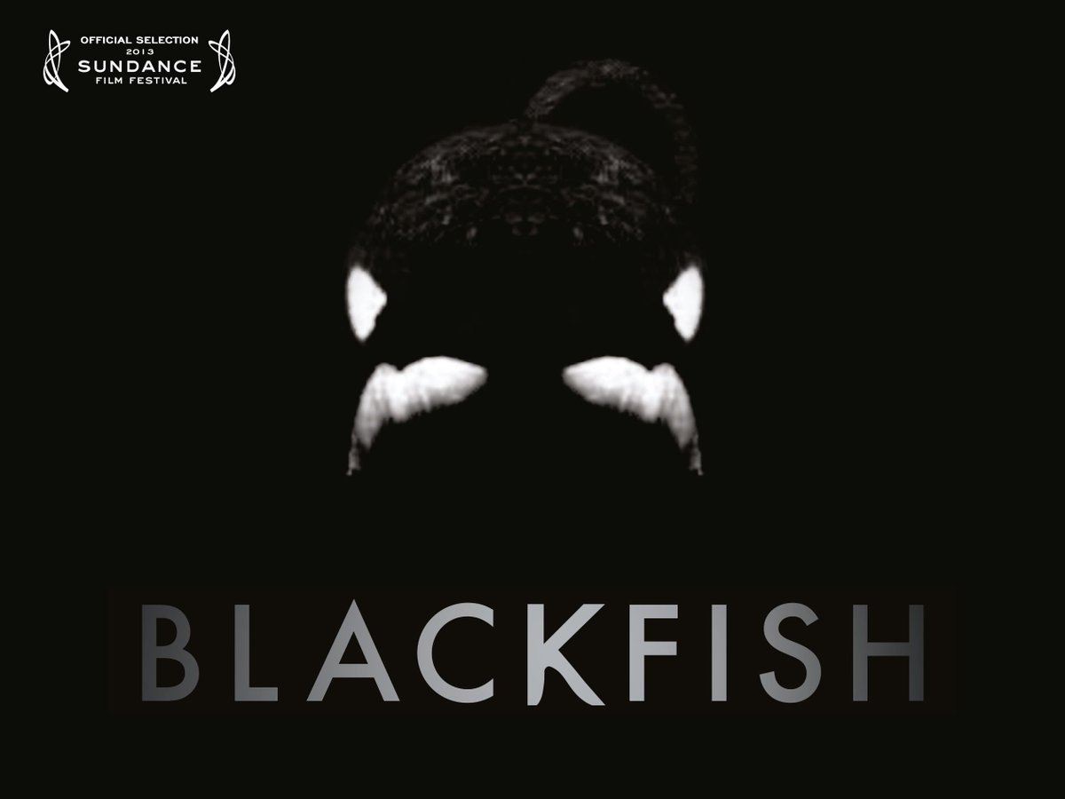 EarthFirstMag's tweet image. POLL RESULT @EarthlingsMovie just beats @blackfishmovie as most impactful documentary #poll #animalrights