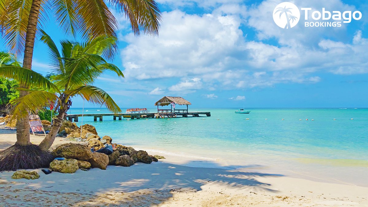 TobagoBookings's tweet photo. Who's spending #Carnival in #Tobago? 🎉 https://t.co/Zo4omQdKsO