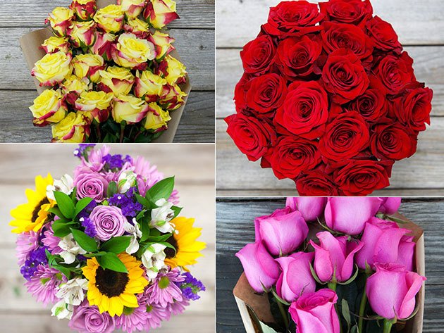 CreativeBloq's tweet photo. Valentine's Day is around the corner - be prepared w/ The Bouqs, $35: https://t.co/lYTnDpIoVu https://t.co/bBhjtQpsCN