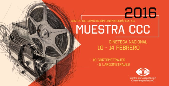 DescubrirCDMX tweet picture