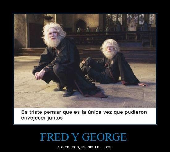 Hogwartssite's tweet image. LLORO.