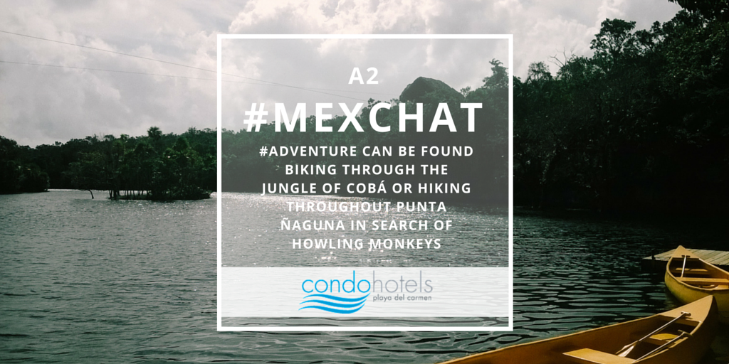 conciergepdc's tweet photo. A2 #Adventure can be found while biking at Cobá or hiking in Punta Laguna searching for howling monkeys #MexChat https://t.co/7JVYpE7bnk