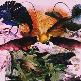 #leonvynehall has announced that he will release an LP, titled 'Rojus', on the renowned Running Back label. He was …