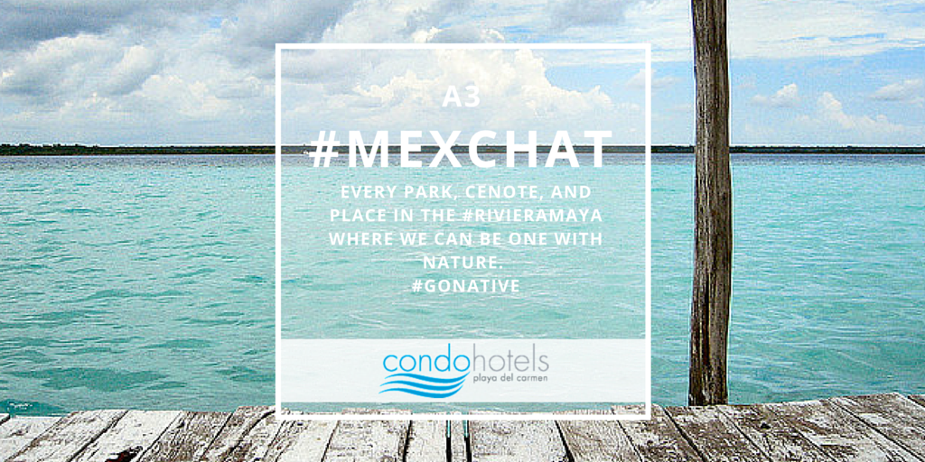 conciergepdc's tweet photo. A3 Every park, cenote and place in the #RivieraMaya where we an be one with nature #GoNative #MexChat https://t.co/EMqz9JmUhw