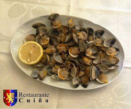 ¿Qué os parecen para cenar unos ricos berberechos? #venacuiña y disfruta con nosotros.