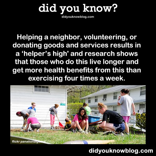 DidYouKnowFacts's tweet image. #IHelpOthersBy doing all of the above. Giving back makes me feel great! #volunteer #donate #DYK