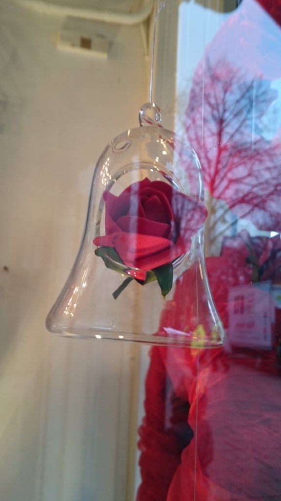 WansteadDaisy's tweet photo. Don't forget Valentines Day!! Come and see us for the perfect gift! #flowers  #wansteadflowers #AllYouNeedIsLove ❤️🌹 https://t.co/yNVS7E51V5