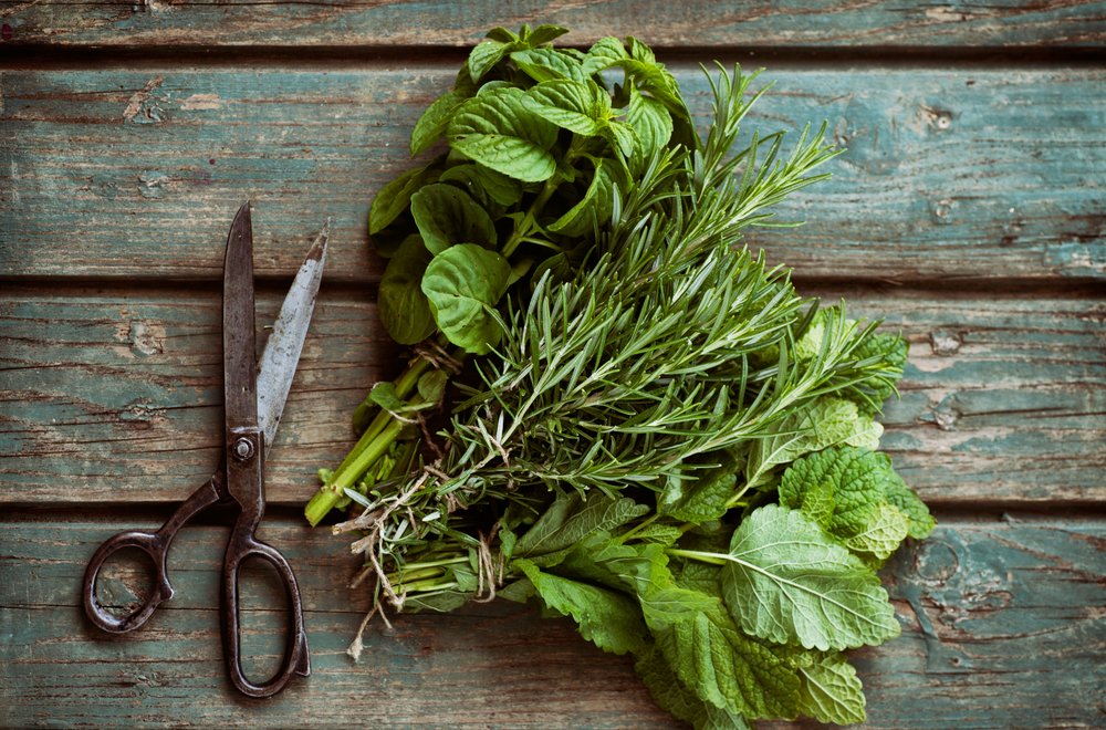 BurtonSousVide's tweet photo. #SousVideTips - Avoid dried herbs, as their flavour becomes more concentrated through sous-vide cooking. Stay fresh! https://t.co/ONMj1O9uDH
