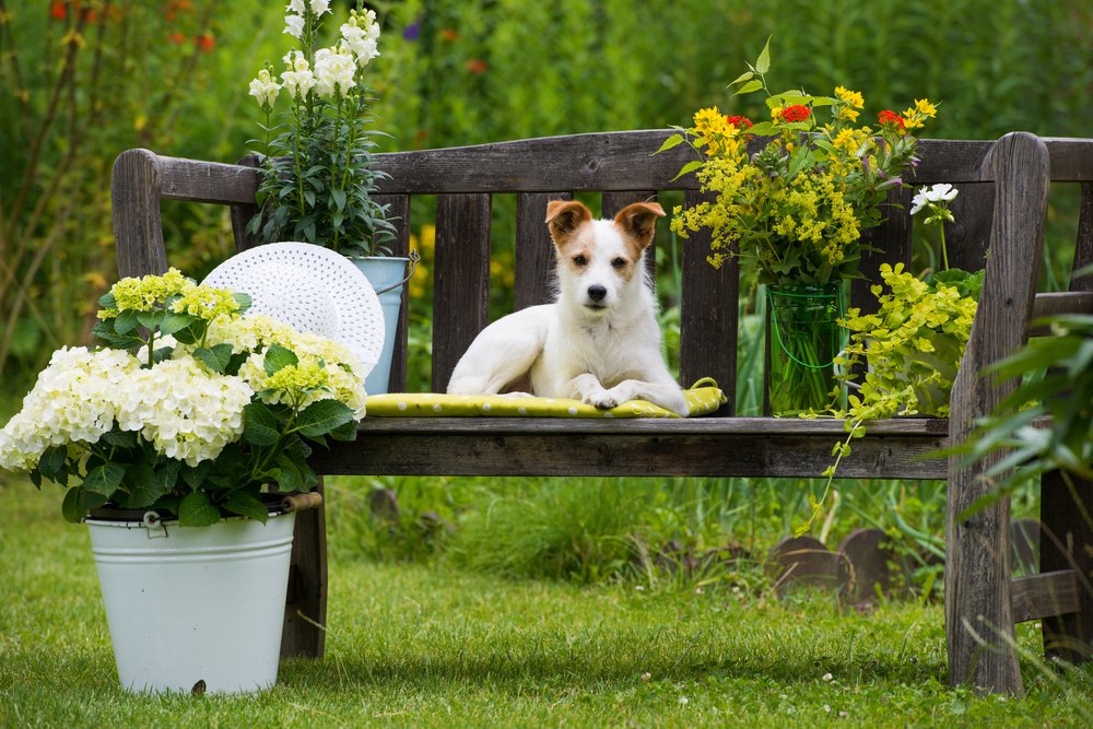 A great gift for “budding” gardeners—my online class “Let’s Grow:” 
greenjeangardens.com/lets-grow-laun… Grow some beautiful.