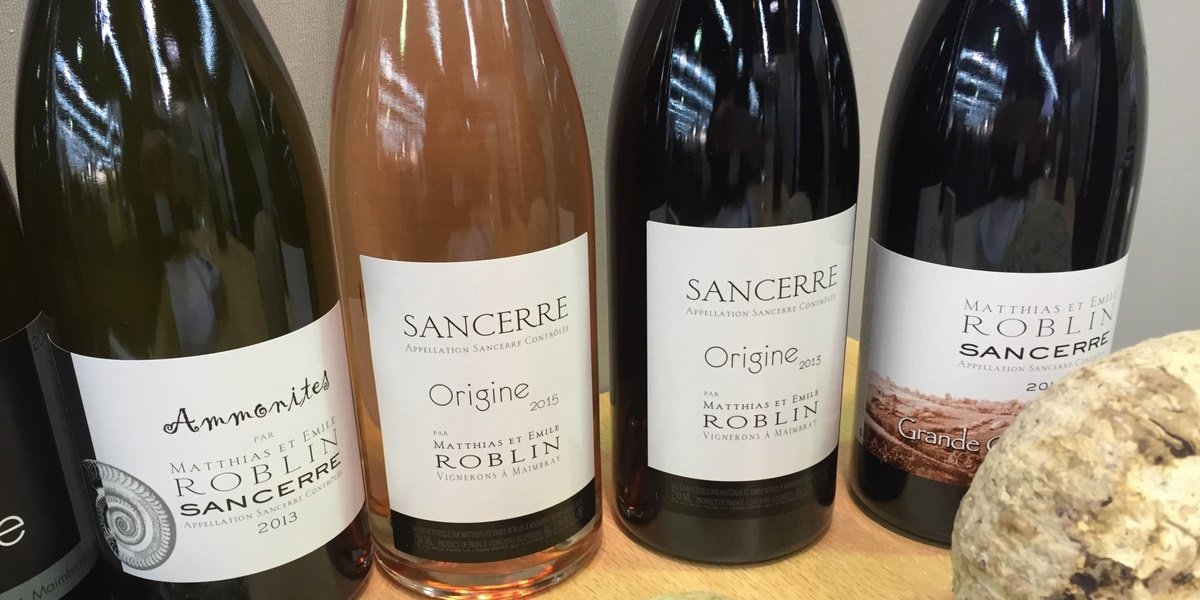 Unusually dry and warm conditions are helping vineyards in France's Loire region bloom.bg/1Q1r5te