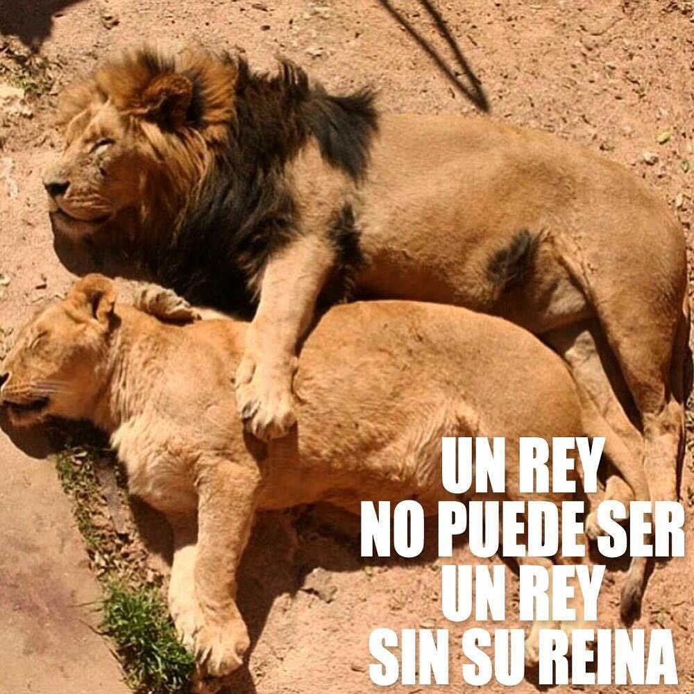 idienei's tweet image. #lifegoals 👌👌🤗🤗 #myking