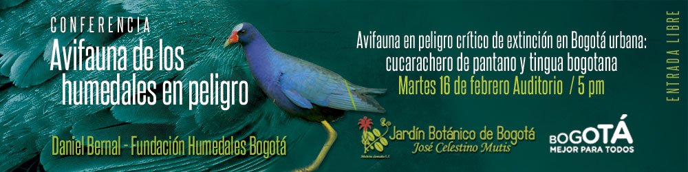 Colnade's tweet photo. https://t.co/Zmz49EnVao

Síguenos en:
https://t.co/8JqO35bP3G
https://t.co/dFkiAL0nKC
https://t.co/9UkpCIq7Bb
#colnade #Ecología #Colombia