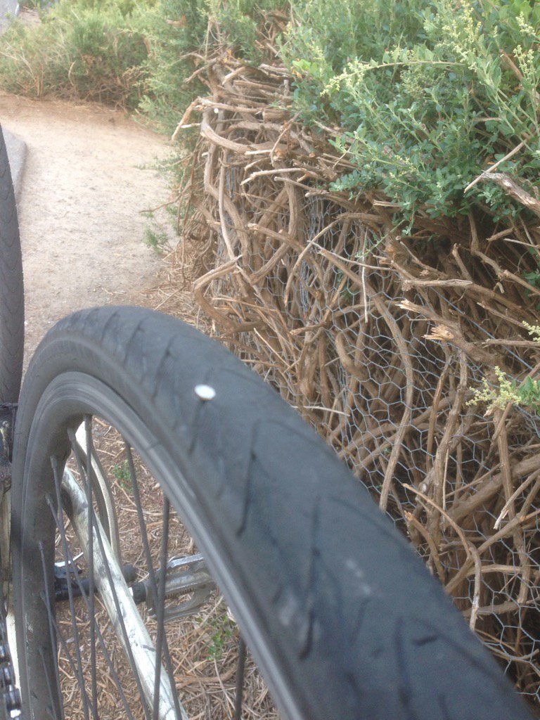 Caught. #boulietacks