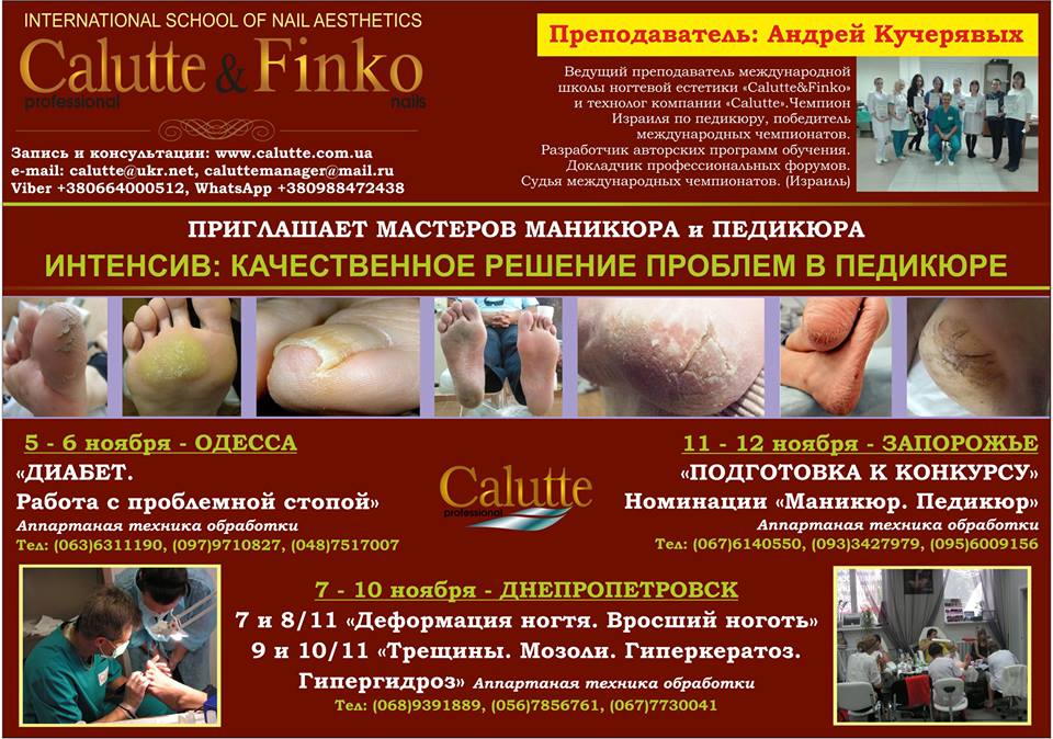 Calutte tweet picture
