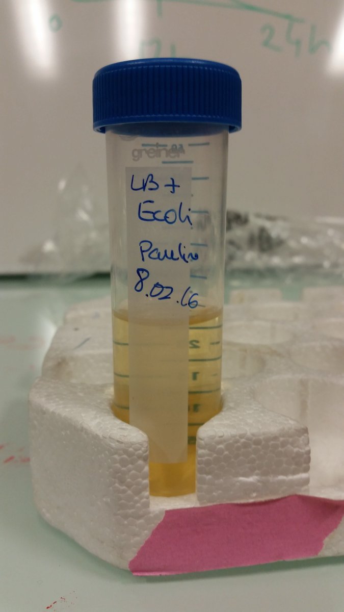 BacteriaCleaner tweet media