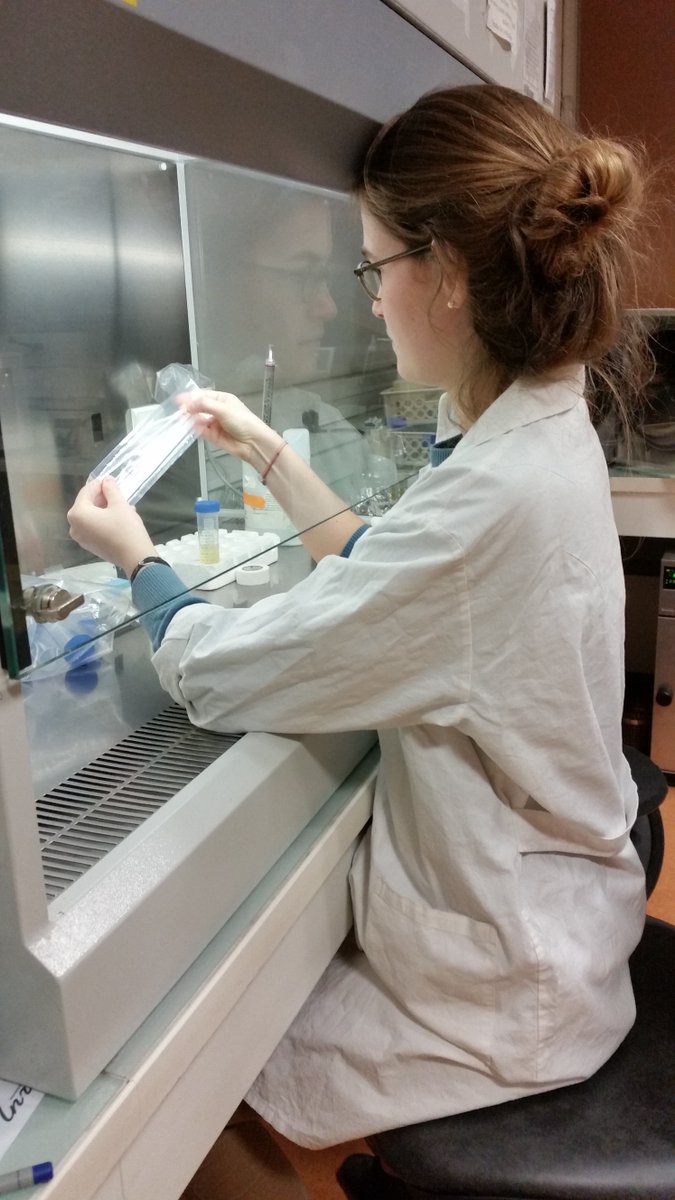 BacteriaCleaner tweet media