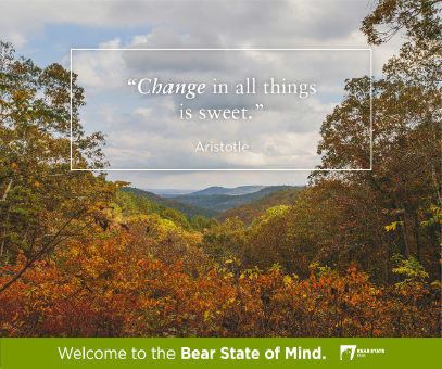 MNBMissouri's tweet photo. See what all the buzz is about! #MNBtoBSB #bearstateofmind 
https://t.co/AplA03pidg https://t.co/Jd6bHmO84B