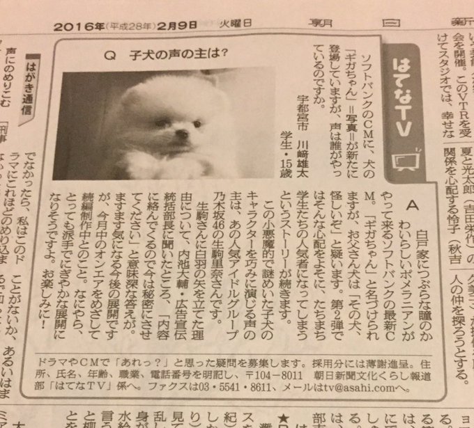 ギガちゃん効果で Twitterが天使のようなポメラニアンだらけw Matomehub まとめハブ ギガちゃん効果で Twitterが天使のようなポメラニアンだらけw Matomehub まとめハブ