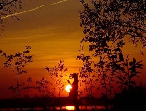 Ve benim, birdenbire yüzünü değil, gözünü değil, senin sesini göresim geldi.

Nazım Hikmet
