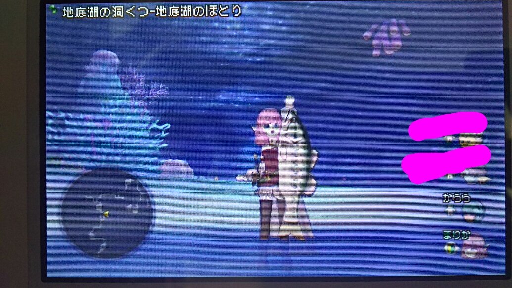 まりかx 誰だよ ウェナ諸島のレーンの村近くの地底湖にブラックバス放したのwwww 大物が釣れたじゃねーかww ドラクエ10 T Co Kagpnqxeke