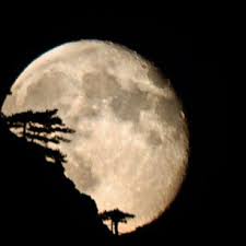 AidaDiamand's tweet photo. @M__Ossman @me_devil_79 @crecyloves @143SalmanKhan1 @artziiflower @BeingAman93 @saawariya_87 gud night  sweet dreams https://t.co/Dd6CGYdZxf