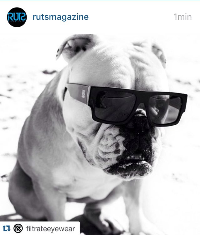 <a href="/filtrateeyewear/">Filtrate Eyewear</a> model: #Proper #doggystyle #rutsmagazine #filtrateeyewear