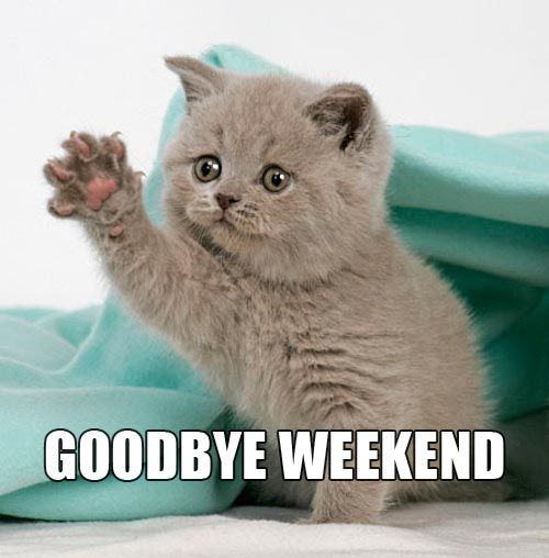 SplitsvilleNan's tweet photo. HAPPY HAPPY HAPPY MONDAY #goodbyeweekend #hellojob https://t.co/Jtp3udV2e5