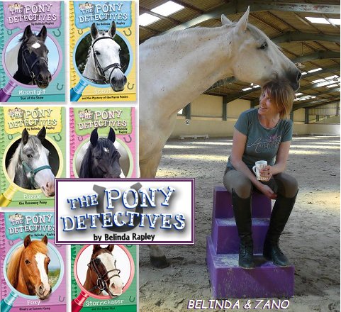 pony_detectives's tweet photo. .@ClassicShowjump @Equine_MH - Our livery colours - silver/purple so I bought the luvly funky purple #mountingblock https://t.co/UqZJYfURKr