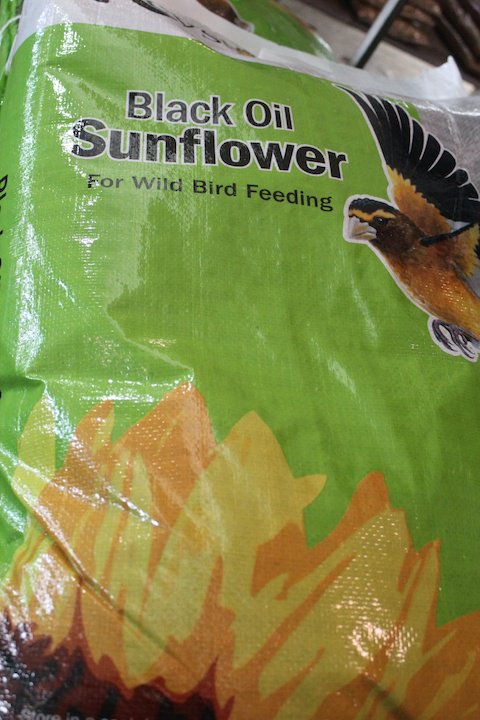 The Barn Nursery On Twitter Concussion Football Natural