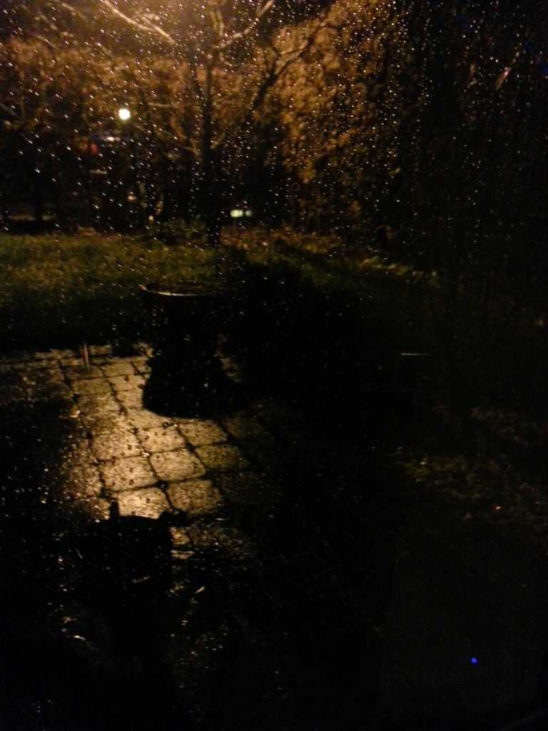 Fiafossil's tweet photo. Midnight. It's raining cats and dogs and my cat is still out somewhere. #problemssleeping https://t.co/HB53RS0nUG