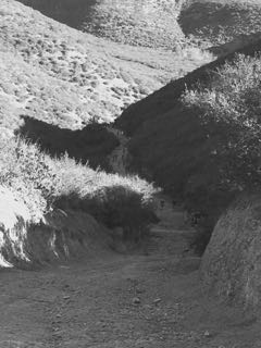 Long Course athletes-Points are updated-See where you stack up!
Here's a pic of the hill!  ow.ly/Y68U6