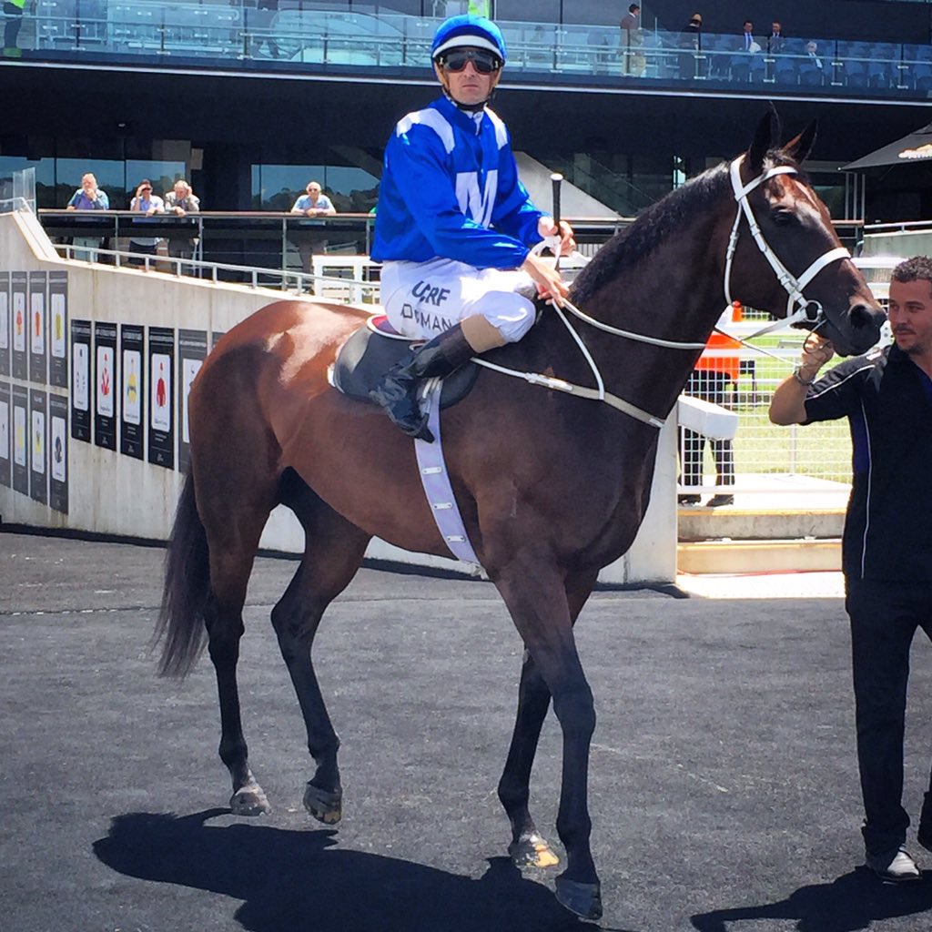 aus_turf_club's tweet photo. NEWS: Fantastic to hear WINX confirmed to run @royalrandwick Sat G2 Apollo Stakes,@HugeBowman to ride. #GetTrackside https://t.co/Cu21T6vO2a