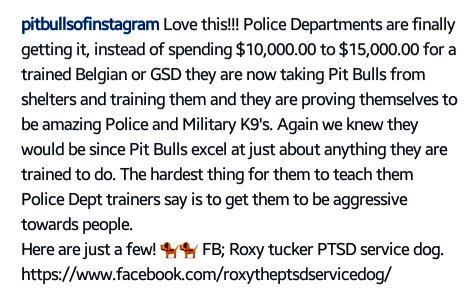zachhernan's tweet photo. This is so awesome. So glad they're getting good publicity. #pitbull #PitbullsLovers #sweetestdogs #smartestdogs https://t.co/EfaLHzpEfY